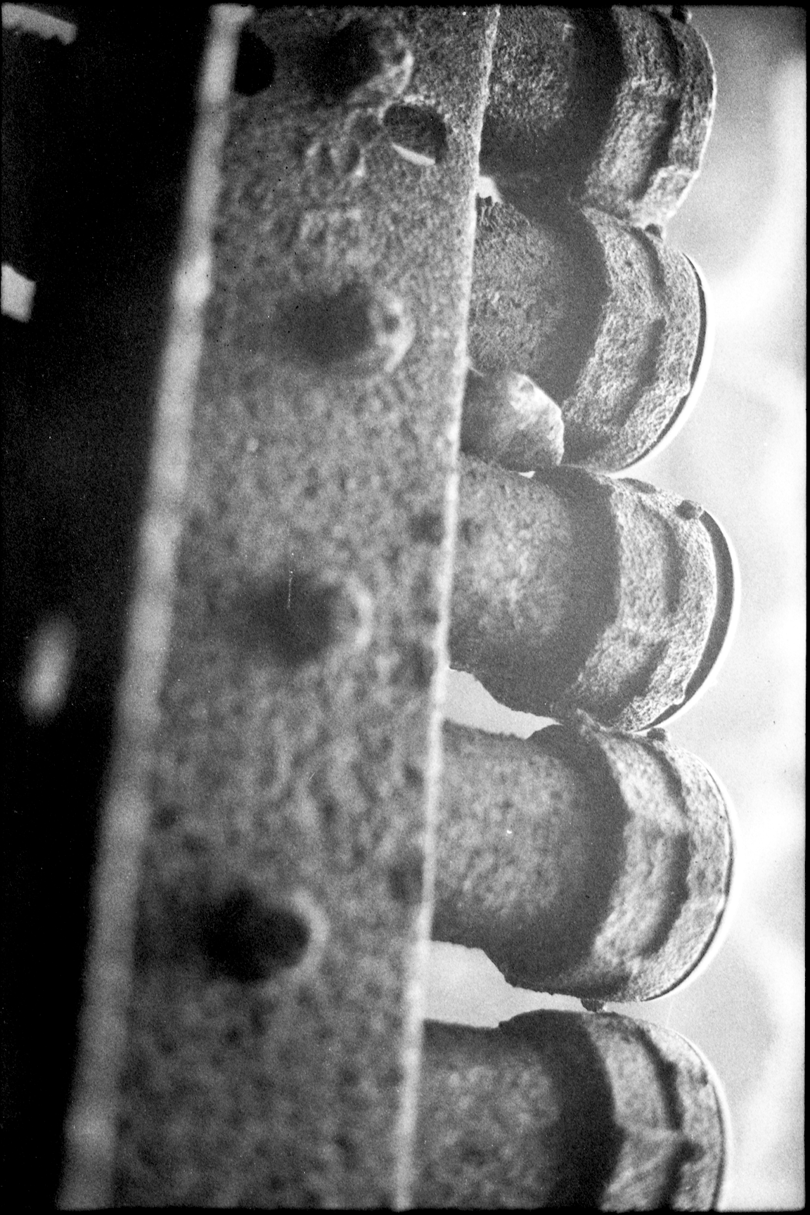 A black-and-white photo of an industrial-looking object.